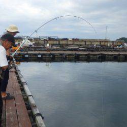 淡路じゃのひれフィッシングパーク 釣果