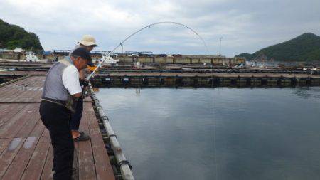 淡路じゃのひれフィッシングパーク 釣果