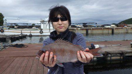 淡路じゃのひれフィッシングパーク 釣果
