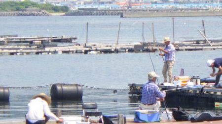 淡路じゃのひれフィッシングパーク 釣果