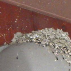 淡路じゃのひれフィッシングパーク 釣果