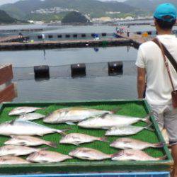 淡路じゃのひれフィッシングパーク 釣果