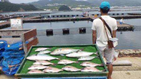 淡路じゃのひれフィッシングパーク 釣果