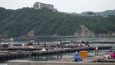 淡路じゃのひれフィッシングパーク 釣果