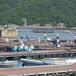 淡路じゃのひれフィッシングパーク 釣果