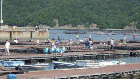 淡路じゃのひれフィッシングパーク 釣果