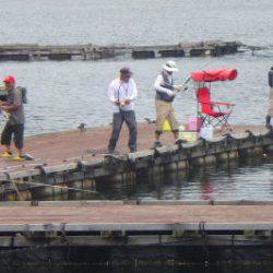 淡路じゃのひれフィッシングパーク 釣果