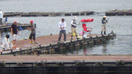 淡路じゃのひれフィッシングパーク 釣果