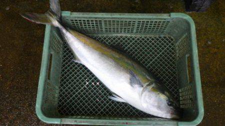 淡路じゃのひれフィッシングパーク 釣果