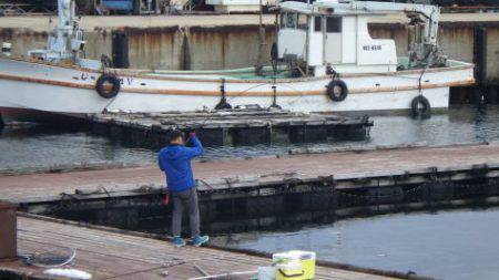 淡路じゃのひれフィッシングパーク 釣果
