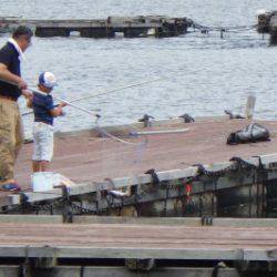 淡路じゃのひれフィッシングパーク 釣果