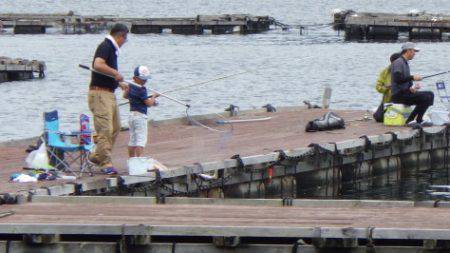 淡路じゃのひれフィッシングパーク 釣果