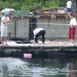 淡路じゃのひれフィッシングパーク 釣果