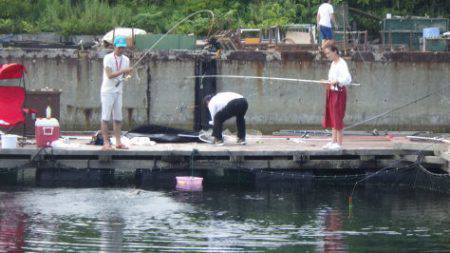 淡路じゃのひれフィッシングパーク 釣果