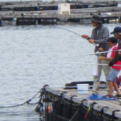 淡路じゃのひれフィッシングパーク 釣果