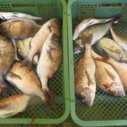 淡路じゃのひれフィッシングパーク 釣果