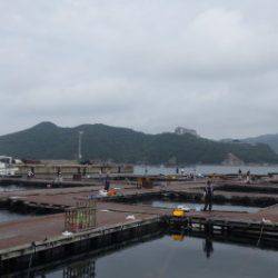 淡路じゃのひれフィッシングパーク 釣果