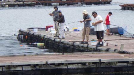 淡路じゃのひれフィッシングパーク 釣果