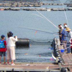 淡路じゃのひれフィッシングパーク 釣果