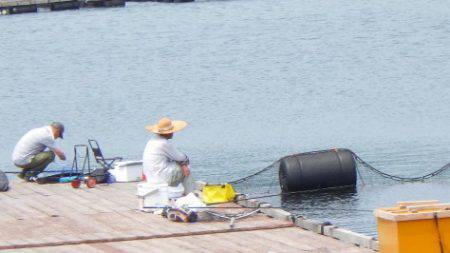 淡路じゃのひれフィッシングパーク 釣果