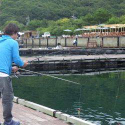 淡路じゃのひれフィッシングパーク 釣果