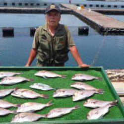 淡路じゃのひれフィッシングパーク 釣果