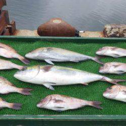 淡路じゃのひれフィッシングパーク 釣果