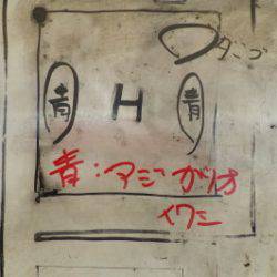 淡路じゃのひれフィッシングパーク 釣果