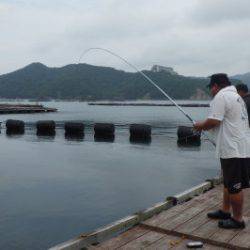 淡路じゃのひれフィッシングパーク 釣果