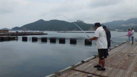 淡路じゃのひれフィッシングパーク 釣果