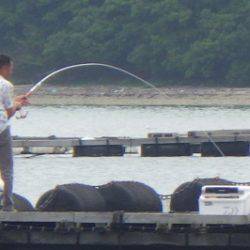 淡路じゃのひれフィッシングパーク 釣果