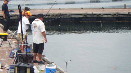 淡路じゃのひれフィッシングパーク 釣果