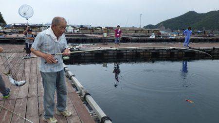 淡路じゃのひれフィッシングパーク 釣果