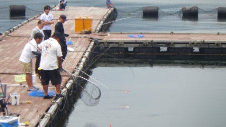 淡路じゃのひれフィッシングパーク 釣果