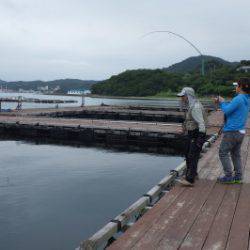 淡路じゃのひれフィッシングパーク 釣果