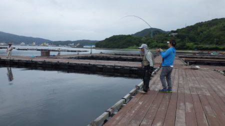 淡路じゃのひれフィッシングパーク 釣果