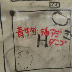 淡路じゃのひれフィッシングパーク 釣果