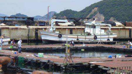 淡路じゃのひれフィッシングパーク 釣果