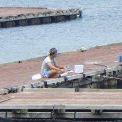 淡路じゃのひれフィッシングパーク 釣果