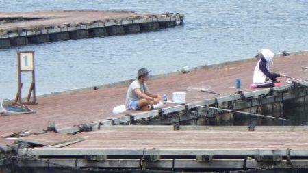 淡路じゃのひれフィッシングパーク 釣果