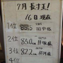 淡路じゃのひれフィッシングパーク 釣果