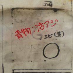 淡路じゃのひれフィッシングパーク 釣果