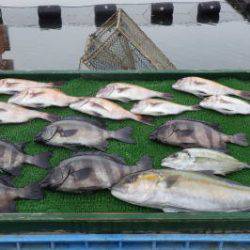 淡路じゃのひれフィッシングパーク 釣果