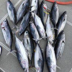 へいみつ丸 釣果