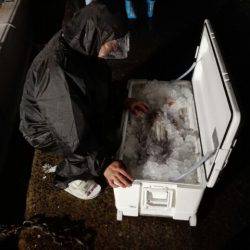 第二大福丸 釣果