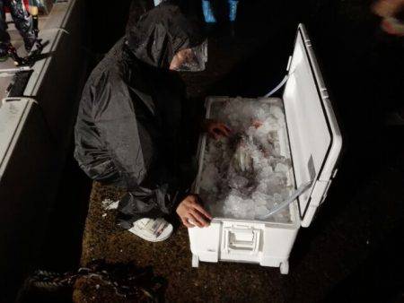 第二大福丸 釣果