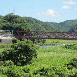 狩野川(狩野川漁業協同組合) 釣果