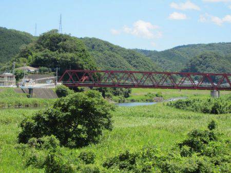 狩野川(狩野川漁業協同組合) 釣果