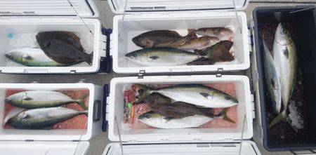 気仙沼 つり丸 釣果