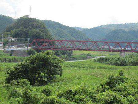 狩野川(狩野川漁業協同組合) 釣果